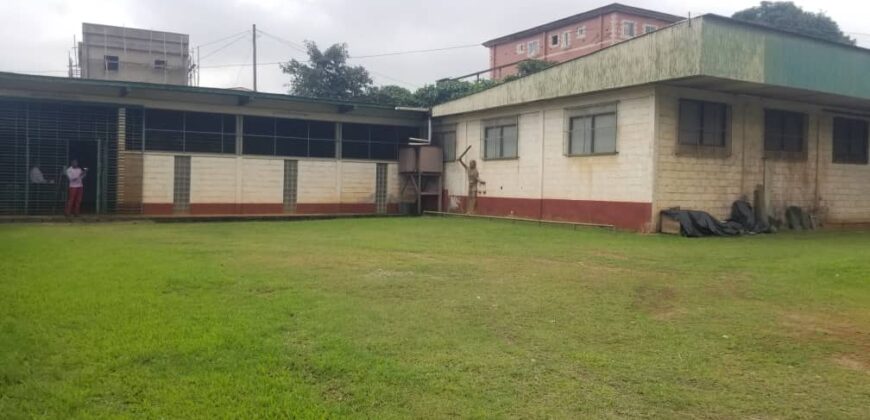 2 ENTREPÔTS À LOUER A TONGOLO