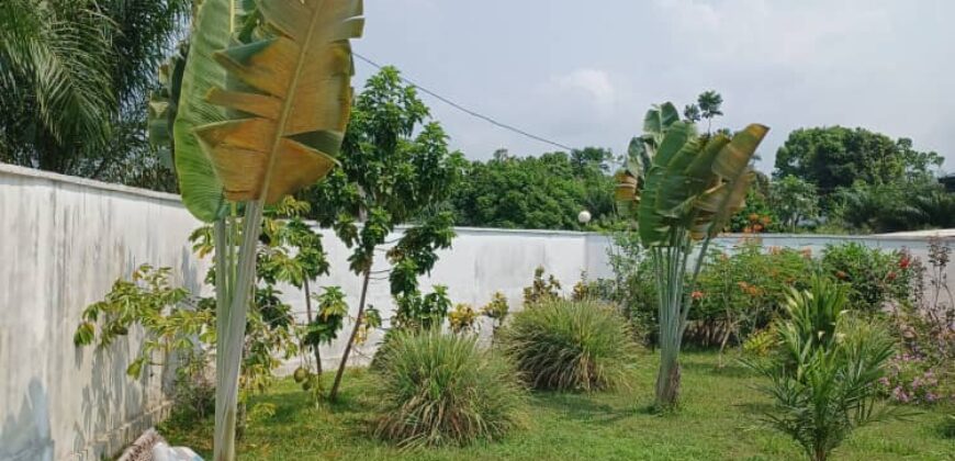 VILLA MEUBLÉE PISCINE en vente à KRIBI