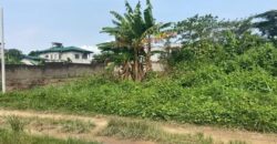 TERRAIN À VENDRE À DOUALA A LOGBESSOU