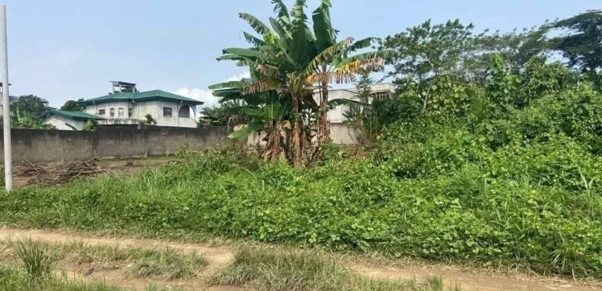 TERRAIN À VENDRE À DOUALA A LOGBESSOU