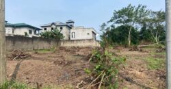 TERRAIN À VENDRE À DOUALA A LOGBESSOU