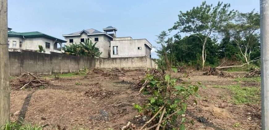 TERRAIN À VENDRE À DOUALA A LOGBESSOU