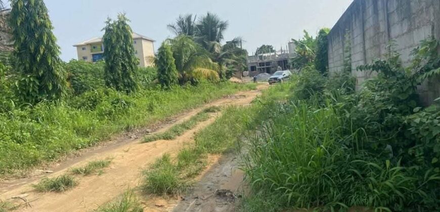 TERRAIN À VENDRE À DOUALA A LOGBESSOU