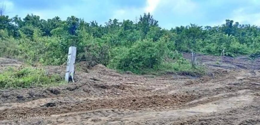 TERRAIN À VENDRE À DOUALA A LOGBESSOU