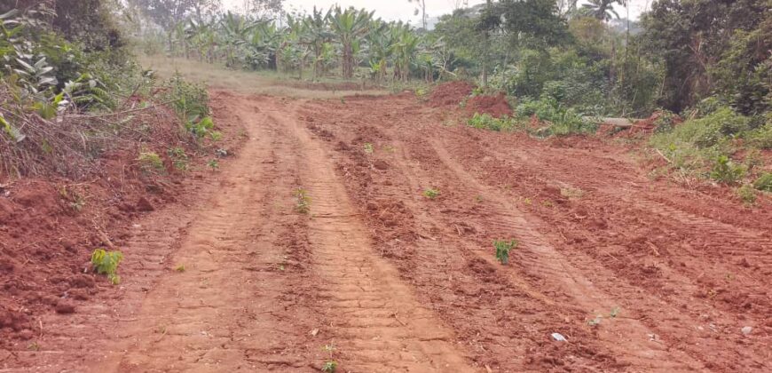 Terrains EN VENTE À NKOLMEYAND 15mn du Carrefour NKOABANG