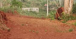 Terrains EN VENTE À NKOLMEYAND 15mn du Carrefour NKOABANG