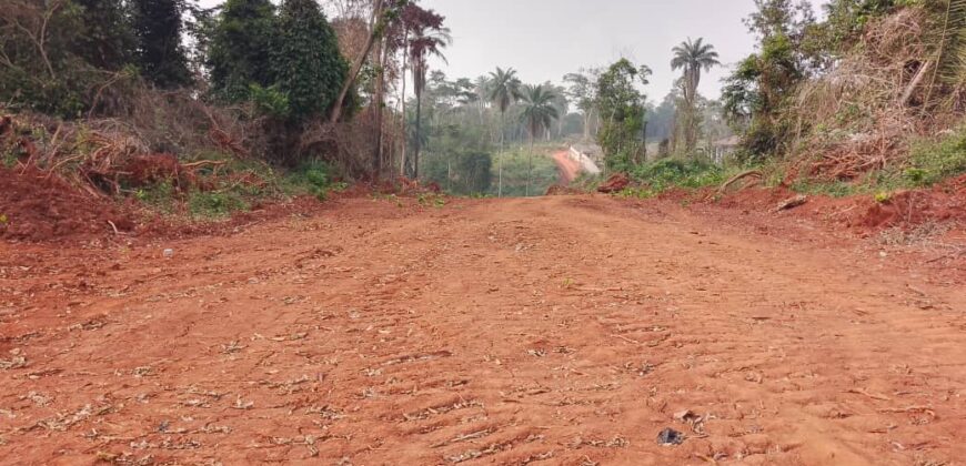 Terrains EN VENTE À NKOLMEYAND 15mn du Carrefour NKOABANG