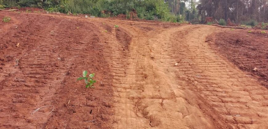 Terrains EN VENTE À NKOLMEYAND 15mn du Carrefour NKOABANG