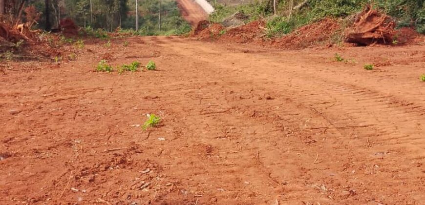 Terrains EN VENTE À NKOLMEYAND 15mn du Carrefour NKOABANG