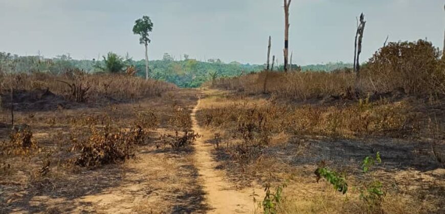 TERRAIN en VENTE À DOUALA MISSOLÈ