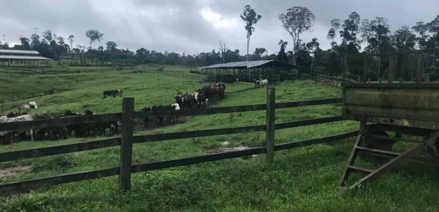 MAISON EN VENTE À KRIBI..