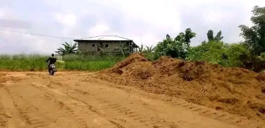 TERRAIN EN VENTE À DOUALA PK 18