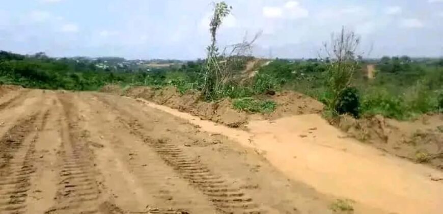 TERRAIN EN VENTE À DOUALA PK 18