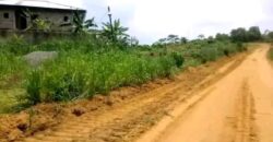 TERRAIN EN VENTE À DOUALA PK 18