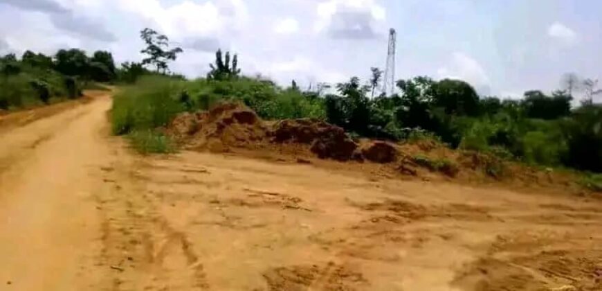 TERRAIN EN VENTE À DOUALA PK 18