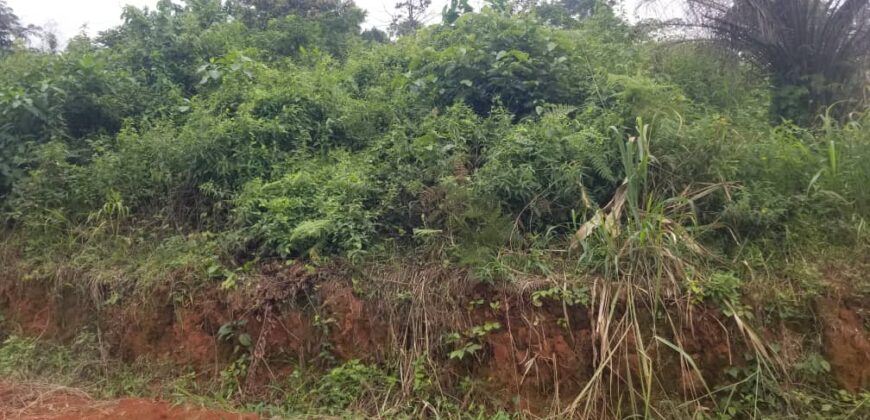 TERRAIN TITRÉ EN VENTE À FÉBÉ VILLAGE