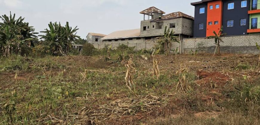 Terrain à vendre Tsinga village