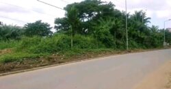 TERRAIN EN VENTE À DOUALA YASSA