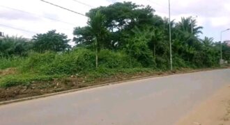 TERRAIN EN VENTE À DOUALA YASSA