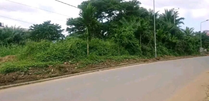 TERRAIN EN VENTE À DOUALA YASSA