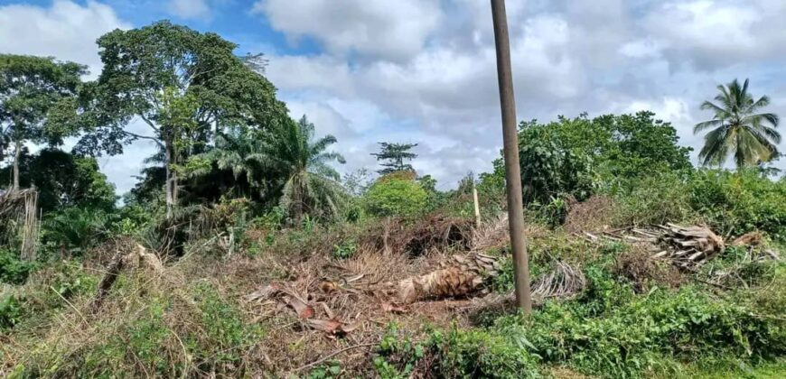 TERRAIN EN VENTE À YAOUNDÉ NSIMALEN