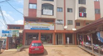 IMMEUBLE EN VENTE À YAOUNDÉ NGOUSSO