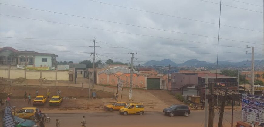 IMMEUBLE EN VENTE À YAOUNDÉ NGOUSSO