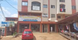 IMMEUBLE EN VENTE À YAOUNDÉ NGOUSSO