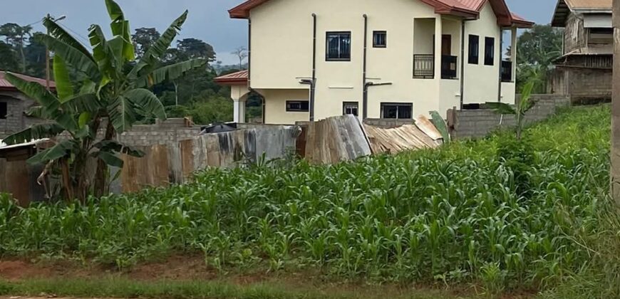 DUPLEX EN VENTE À YAOUNDÉ NTSINGA VILLAGE