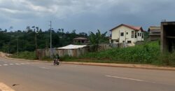 DUPLEX EN VENTE À YAOUNDÉ NTSINGA VILLAGE