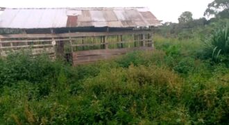 FERME À VENDRE SUR LA ROUTE DE MBALMAYO OVANGOUL