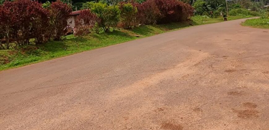 Terrain titré bien placé à Yaoundé nsimalen bikok