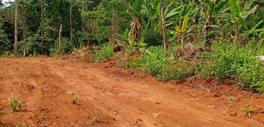 Terrain titré bien placé à Yaoundé nsimalen bikok