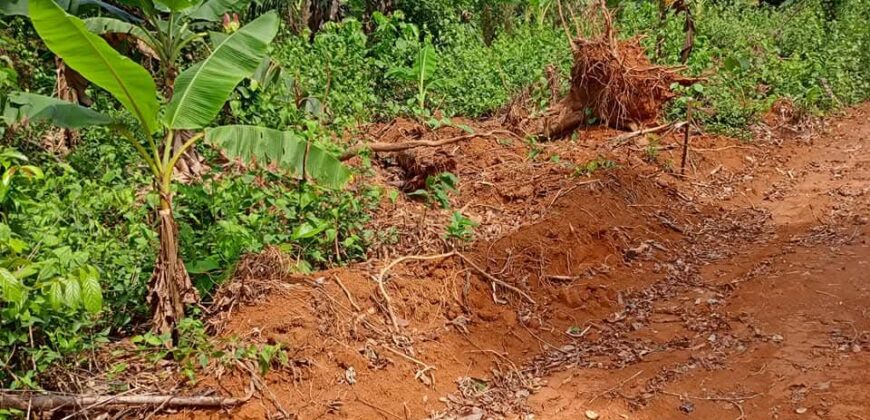 Terrain titré bien placé à Yaoundé nsimalen bikok