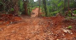 Terrain titré bien placé à Yaoundé nsimalen bikok