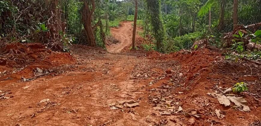 Terrain titré bien placé à Yaoundé nsimalen bikok