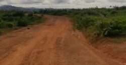 Terrain à vendre à NTSINGA VILLAGE