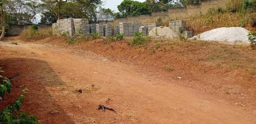 TERRAIN À VENDRE À YAOUNDÉ NYOM