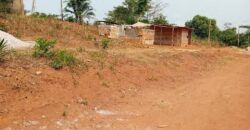 TERRAIN À VENDRE À YAOUNDÉ NYOM