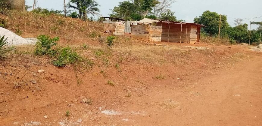 TERRAIN À VENDRE À YAOUNDÉ NYOM