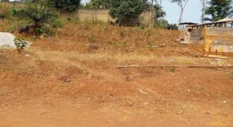 TERRAIN À VENDRE À YAOUNDÉ NYOM