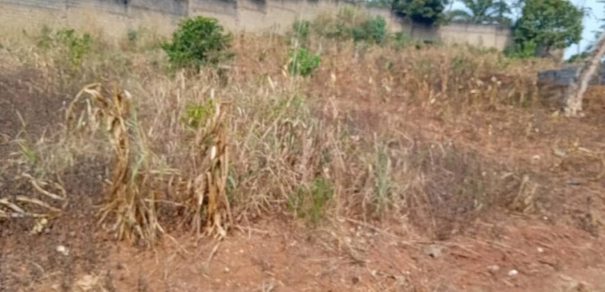 TERRAIN À VENDRE À YAOUNDÉ NYOM