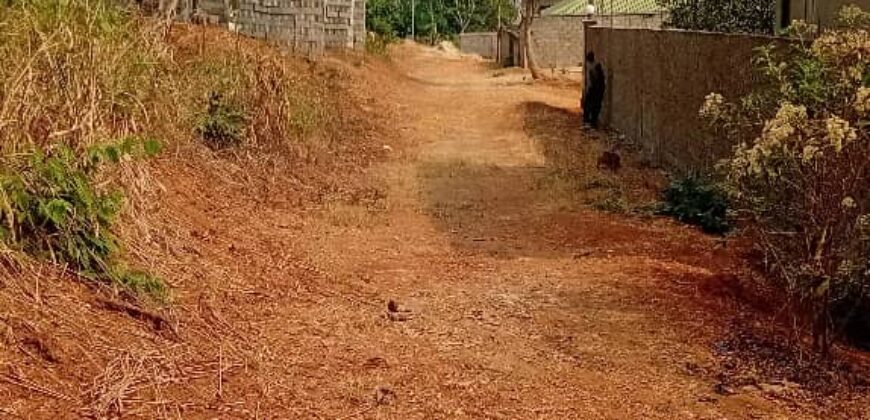 TERRAIN À VENDRE À YAOUNDÉ NYOM