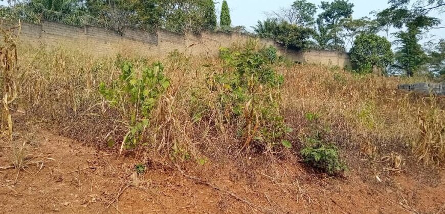 TERRAIN À VENDRE À YAOUNDÉ NYOM