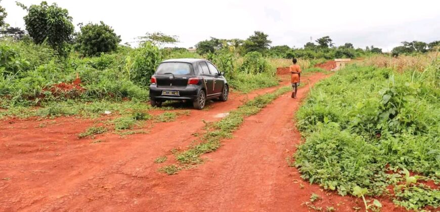 TERRAIN À VENDRE À YAOUNDÉ SOA