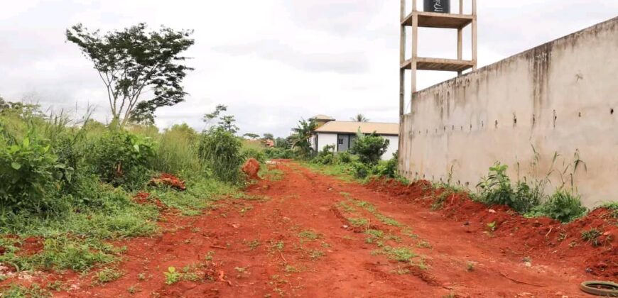 TERRAIN À VENDRE À YAOUNDÉ SOA