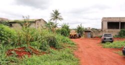 TERRAIN À VENDRE À YAOUNDÉ SOA