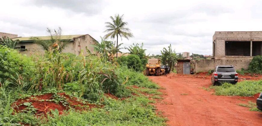 TERRAIN À VENDRE À YAOUNDÉ SOA