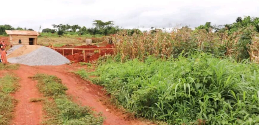 TERRAIN À VENDRE À YAOUNDÉ SOA