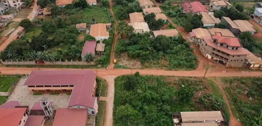 Terrain à Vendre derrière l’Université Catholique Nkolbisson